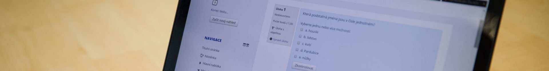 Digitální (ne)gramotnost českého vzdělávacího systému